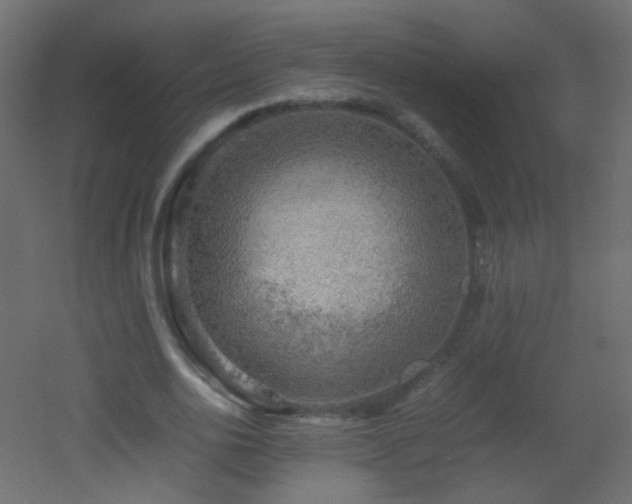 X0000053050726200507111125