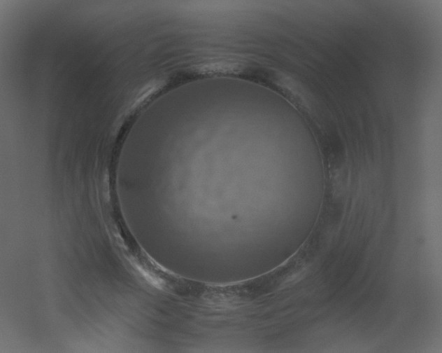 X0000053050729200507111125