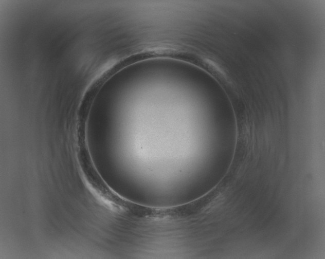 X0000053050730200507111125