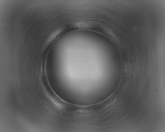 X0000053050733200507111125