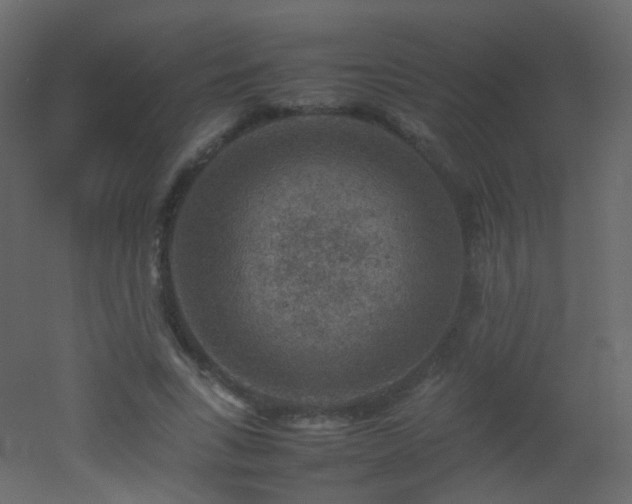 X0000053050735200507111125