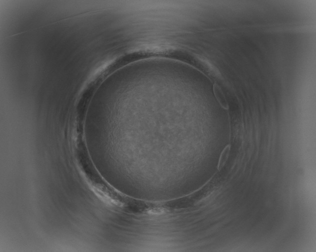 X0000053050736200507111125