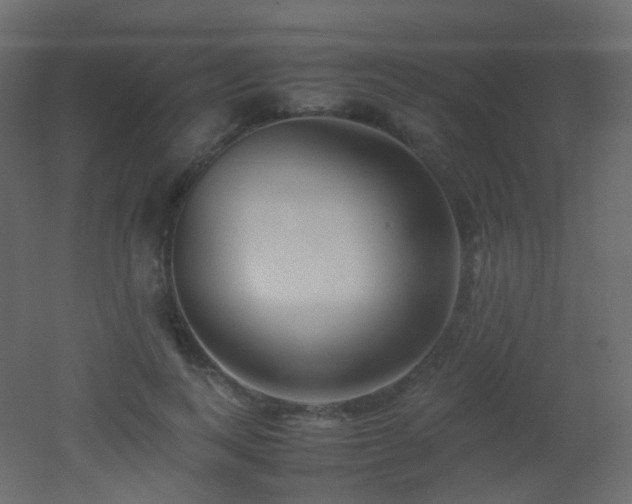 X0000053050743200507111125