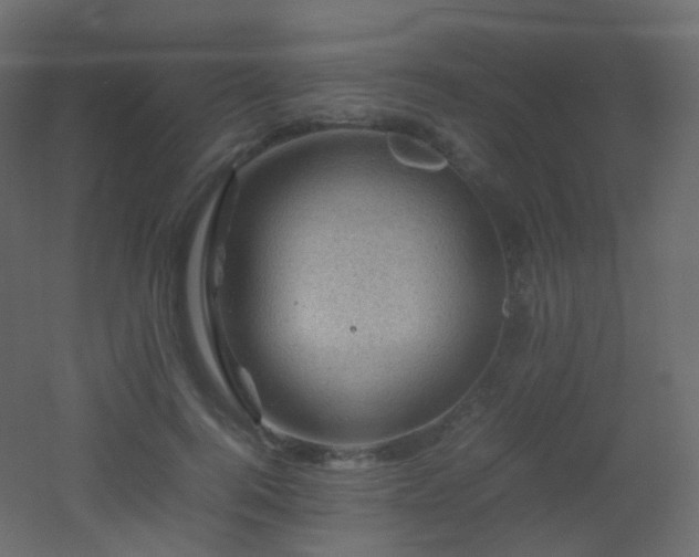 X0000053050744200507111125