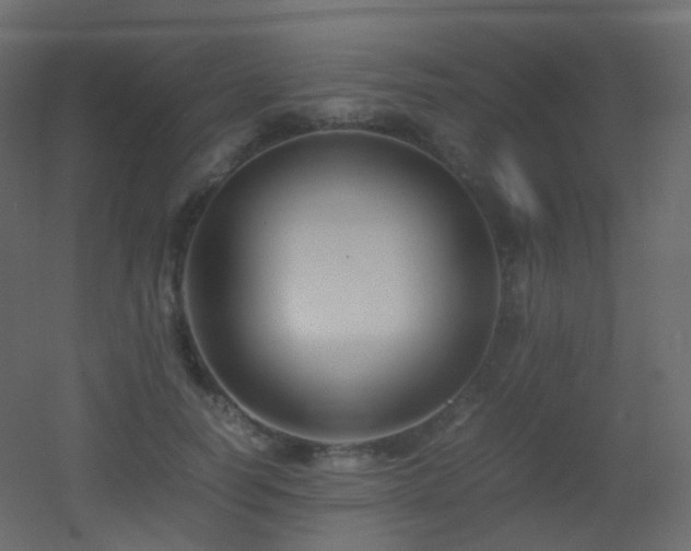 X0000053050746200507111125
