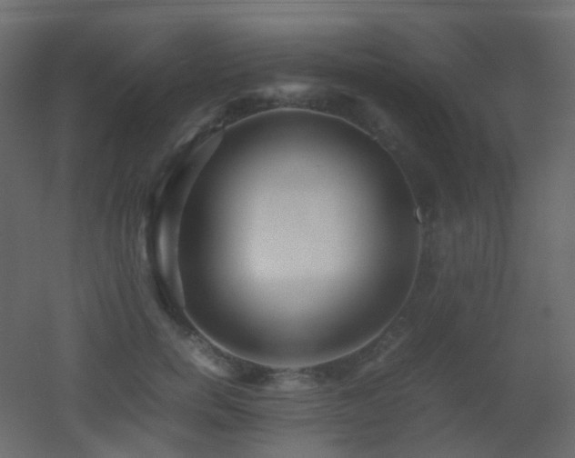 X0000053050750200507111125
