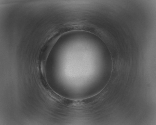 X0000053050752200507111126