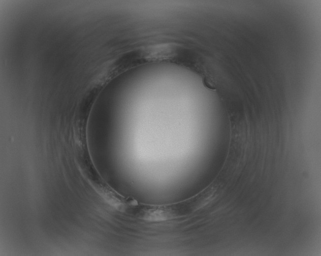 X0000053050755200507111126