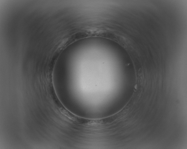 X0000053050756200507111126