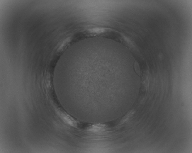 X0000053050758200507111126