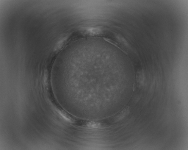 X0000053050760200507111126