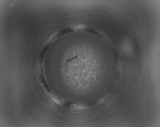 X0000053050763200507111126