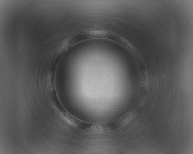 X0000053050764200507111126