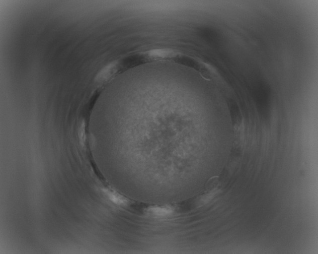 X0000053050765200507111126