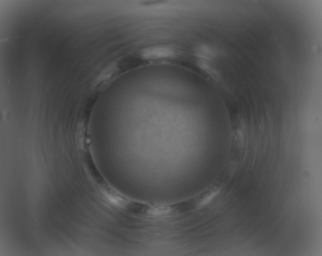 X0000053050767200507111126