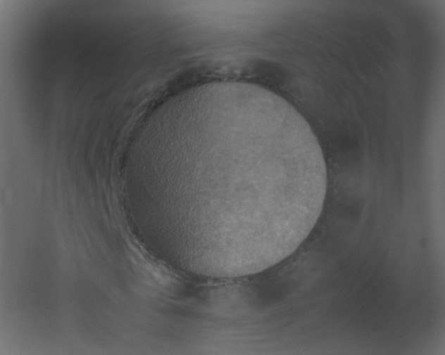 X0000053050769200507111125