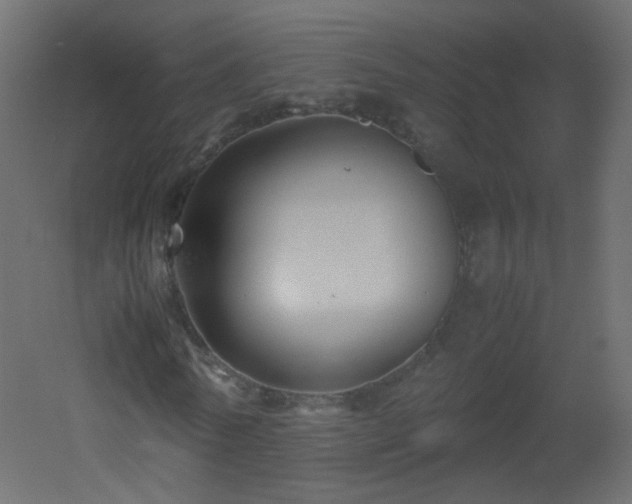 X0000053050770200507111125
