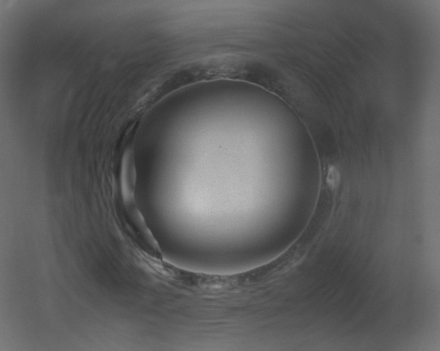 X0000053050771200507111125