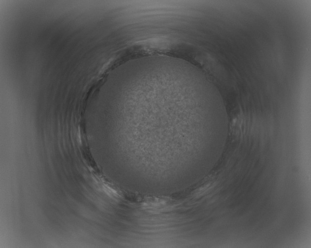 X0000053050772200507111125