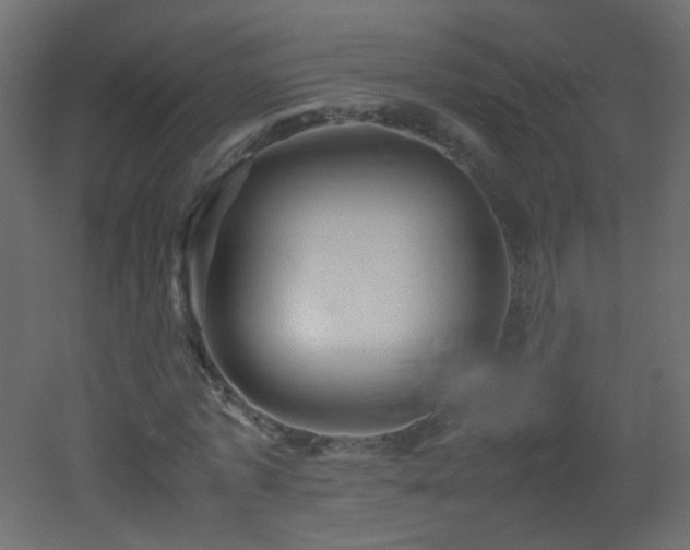 X0000053050773200507111125