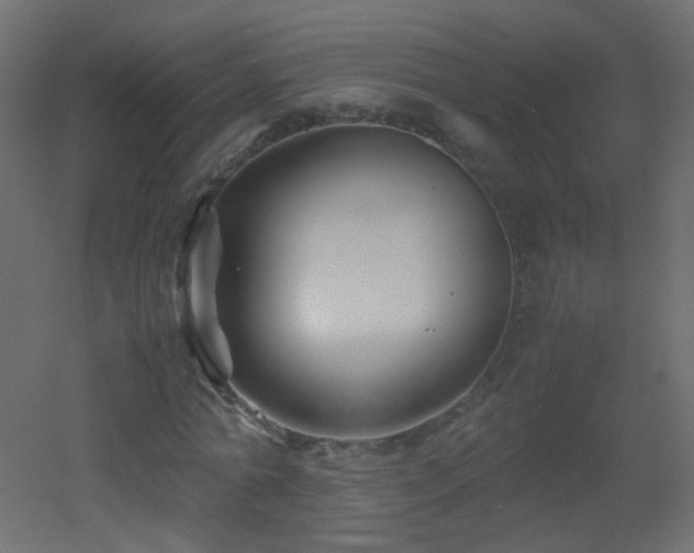 X0000053050774200507111125