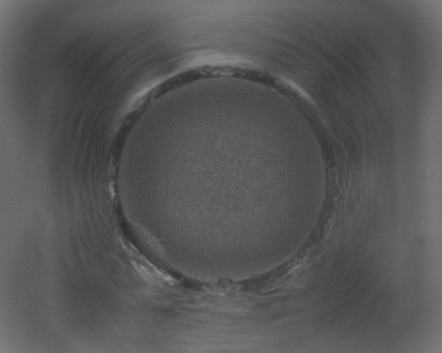 X0000053050775200507111125
