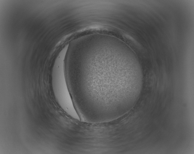 X0000053050776200507111125