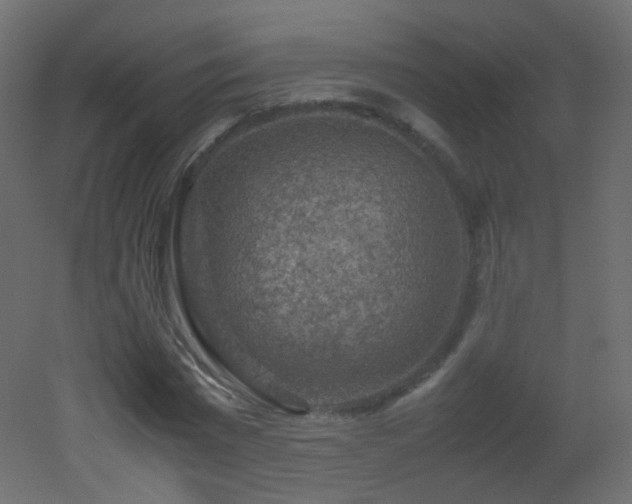 X0000053050777200507111125