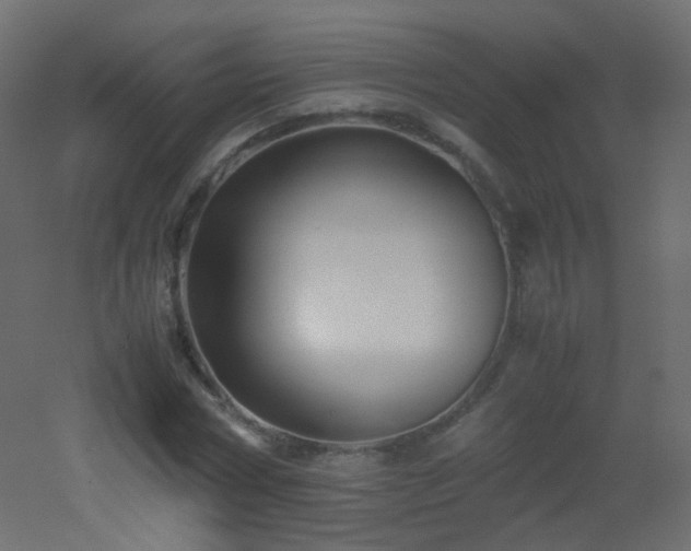 X0000053050778200507111125