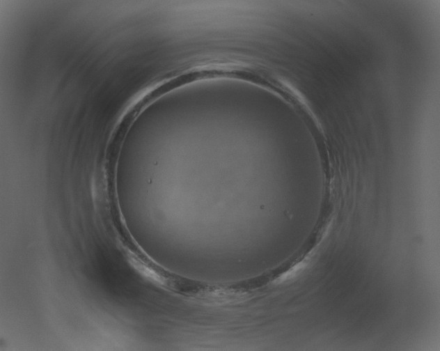 X0000053050779200507111125