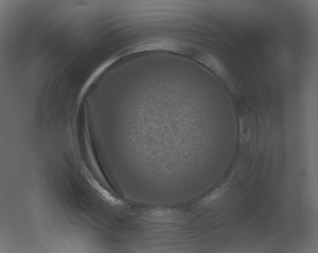 X0000053050780200507111125