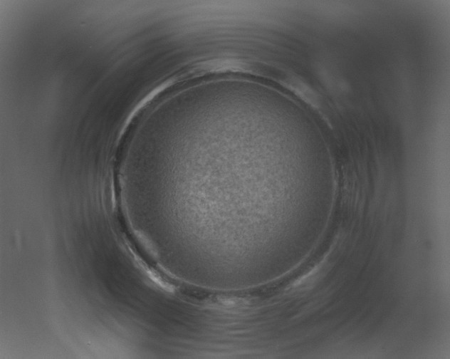 X0000053050782200507111125