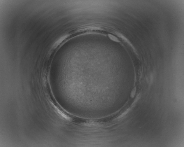 X0000053050785200507111125