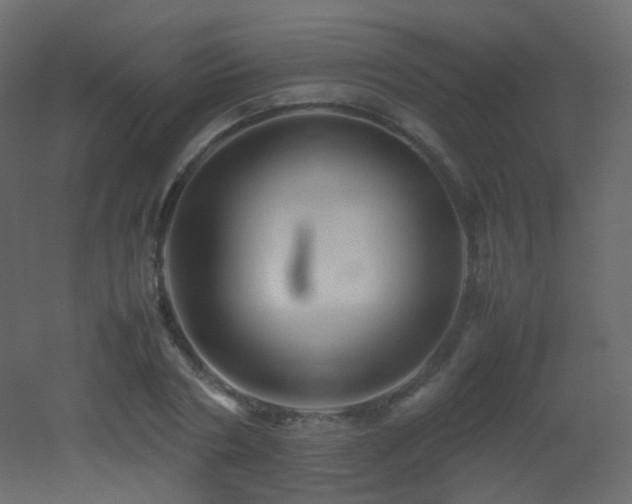 X0000053050786200507111125
