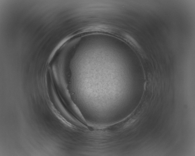 X0000053050788200507111125