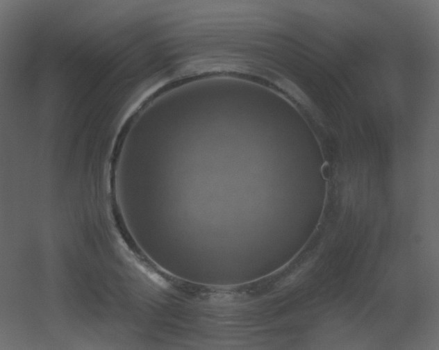 X0000053050790200507111125
