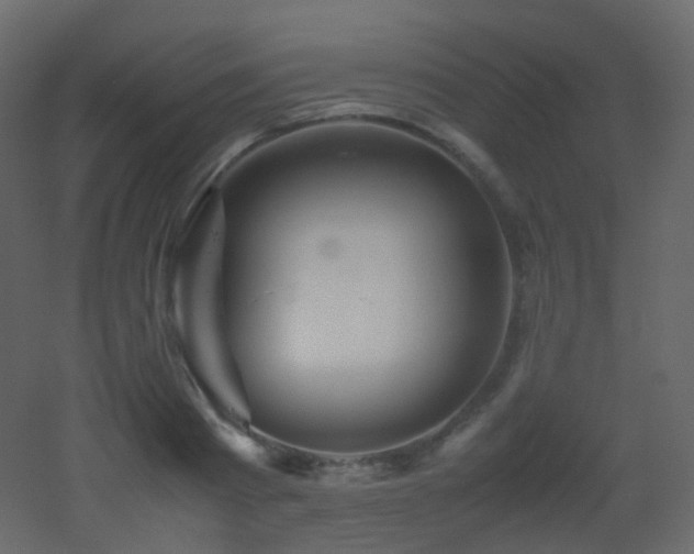 X0000053050793200507111125
