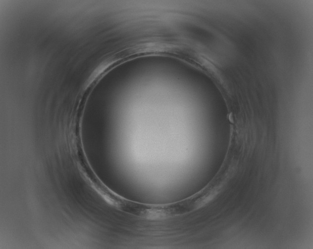 X0000053050794200507111125