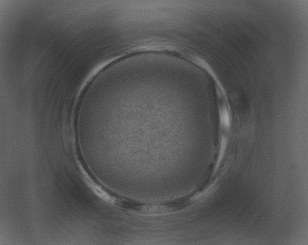 X0000053050795200507111125