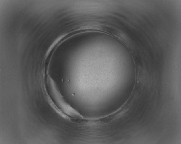 X0000053050796200507111125