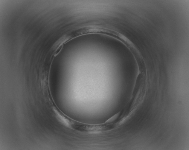 X0000053050801200507111124