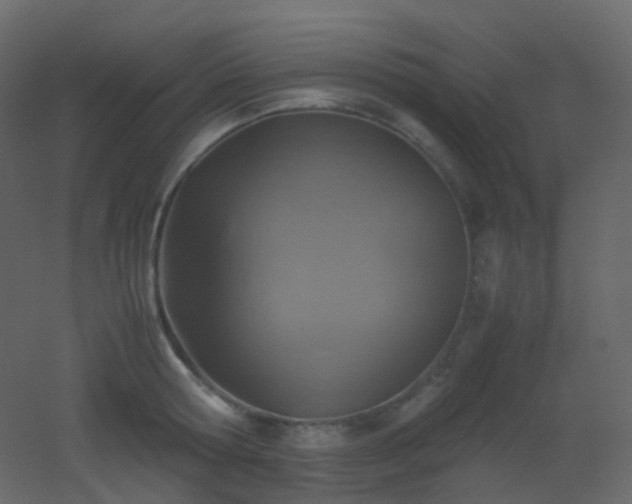 X0000053050802200507111124