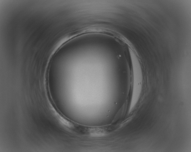 X0000053050803200507111124