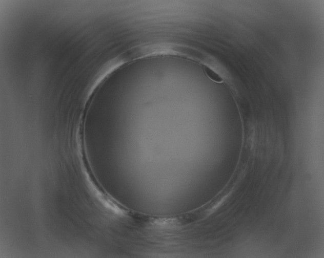 X0000053050806200507111124