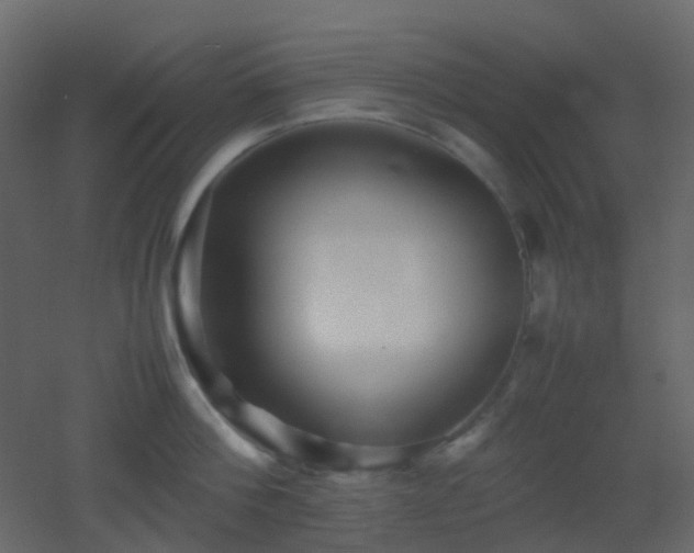 X0000053050812200507111124
