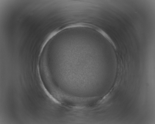 X0000053050813200507111124