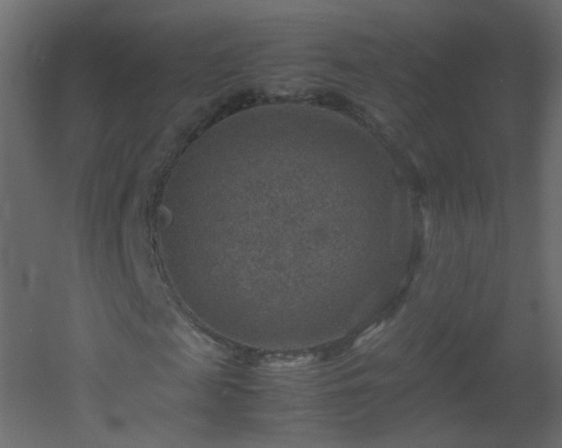 X0000053050817200507111123