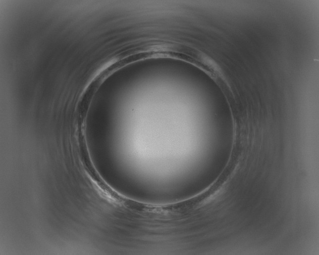 X0000053050827200507111124