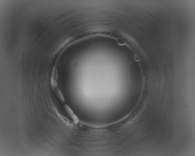 X0000053050833200507111124