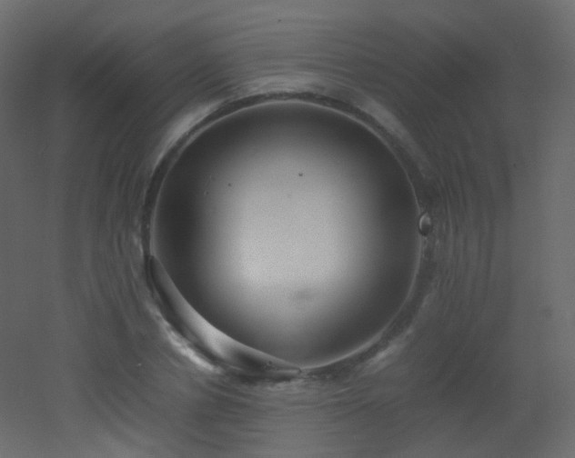 X0000053050834200507111124